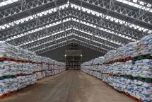 Pupuk Indonesia: Stok Pupuk Urea Dan NPK Bersubsidi 857.504 Ton