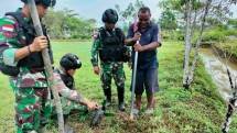 Satgas Yonif Raider 142 KJ Lakukan Penanaman Bibit Pinang