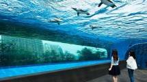 The Sunshine Aquarium di Jepang (Foto:Sunshine Aquarium)