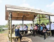 Presiden Jokowi Ingatkan Petani Rawat Kelapa Genjah