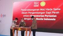 Kementan MoU dengan Nestle 