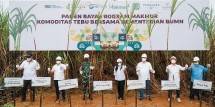Program Makmur Tingkatkan Produktivitas Tebu