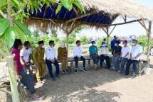 Presiden Jokowi Luncurkan Lumbung Pangan Berbasis Mangga dan Taksi Alsintan di Kabupaten Gresik