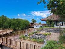 Kementerian PUPR Rampungkan Penataan Kawasan Mangrove Tahura Ngurah Rai Bali Sebagai Showcase KTT G20
