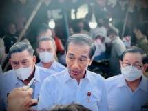 Presiden Jokowi Apresiasi Potensi Pangan Kepulauan Tanimbar Diserap Lokal