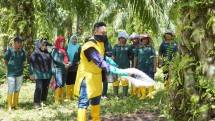 Perusahaan sawit Musim Mas