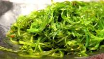 Ekstrak rumput laut