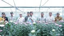 Mentan SYL berbincang di tengah Bunga Krisan