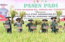 Kasad Jenderal TNI Dudung Abdurachman Panen Raya Padi 