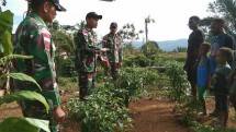 Satgas Yonif 126 Kala Cakti Berikan Sosialisasi Cara Menanam dan Berkebun Cabai di Perbatasan Papua