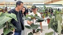 Menteri Teten Siap Bawa Indonesia Kuasai Pasar Tanaman Hias