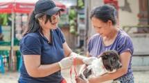 Kemenkes Antisipasi Kasus Rabies di Enam Provinsi