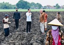 Presiden Jokowi