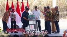 Direktur Utama Holding Perkebunan Nusantara PTPN III (persero) Mohammad Abdul Ghani, usai penandatanganan perjanjian tersebut di SOE International Conference & Expo 2022.