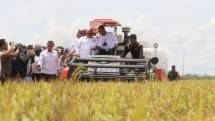 Gelar Panen Raya di Kolaka Timur