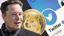 Pasca Elon Musk Kuasai Twitter, Dogecoin Kian Layak Dilirik