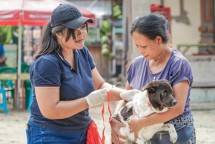 Petugas memberikan vaksin ke seekor Anjing