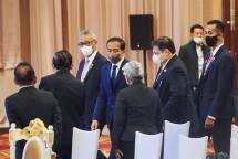 Prioritaskan Sektor Energi Hijau untuk Serap Hibah dari PGII