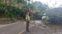 Longsoran di Jalan Nasional Cianjur-Puncak