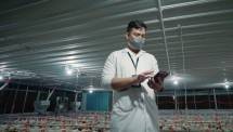 Tim Product Antares sedang mengoperasikan fitur Smart Poultry Farming System