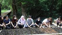 Prasetiya Mulya Tanam 1.454 Bibit Mangrove