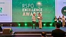 Grup&nbsp;Musim&nbsp;Mas&nbsp;Menangkan&nbsp;RSPO&nbsp;Excellence&nbsp;Award