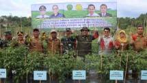 Wamentan bersama petani di IKN