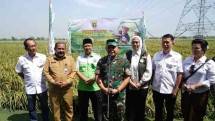 KASAD Jenderal TNI Dudung Abdurachman Panen Raya Padi Unggulan di Karawang