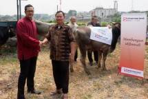 Sinar Mas Land Serahkan 252 Hewan Kurban ke Sejumlah Masjid 