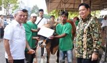Menperin Airlangga Hartarto Serahkan Hewan Kurban 
