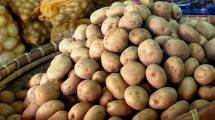  Kentang di Pasar Tradisional