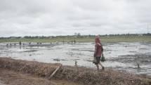 Lahan food estate