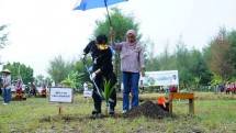 Mentan SYL saat penanaman bibit Kelapa Genjah