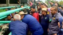 Proses vaksinasi ke Sapi