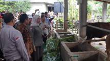 DPR dan Kementan saat di Kandang Peternakan Sapi