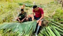 Wujud Manunggalnya Satgas Yonif 143/TWEJ dengan Masyarakat di Perbatasan Papua