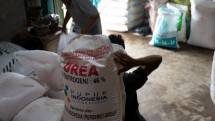 Pupuk bersubsidi yang diangkut untuk didistribusikan ke petani (Dok Kementan)
