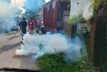 Babinsa Koramil 1710-02/Timika Lakukan Fogging DBD Bersama Tim Dari Dinas Kesehatan