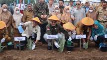 Wamentan bersama Petani