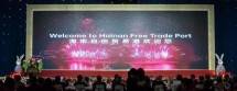 Keren! Delegasi Hainan Promosikan Pelabuhan Perdagangan Bebas di Indonesia