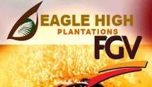 PT Eagle High Plantations Tbk (BWTP) 