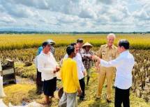Presiden Jokowi Minta Badan Pangan Nasional Hitung Harga Gabah Kering Petani