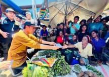 Presiden Jokowi Tinjau Food Estate di Keerom Papua