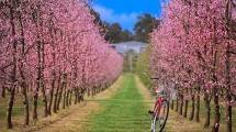 Pertama Kali ke Aussie? Ini 3 Destinasi di Perth yang Wajib Kamu Datengin