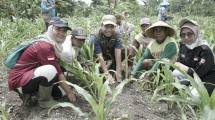  Program #Temanbumi