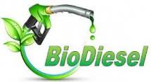Bio Diesel (Foto Ist) 