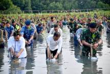 Tanam Mangrove Bersama, Presiden Jokowi Tekankan Pentingnya Jaga Hutan Mangrove