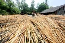 Bahan Baku Rotan