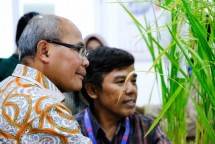 BRIN Gandeng Wilmar dan Syngenta Kembangkan Benih Padi Unggul