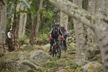 Deep and Extreme Indonesia 2023